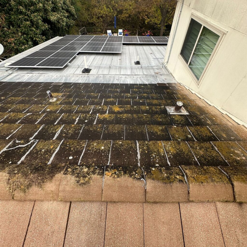 Roof partially covered in black algae and moss, next to a clean metal section with solar panels