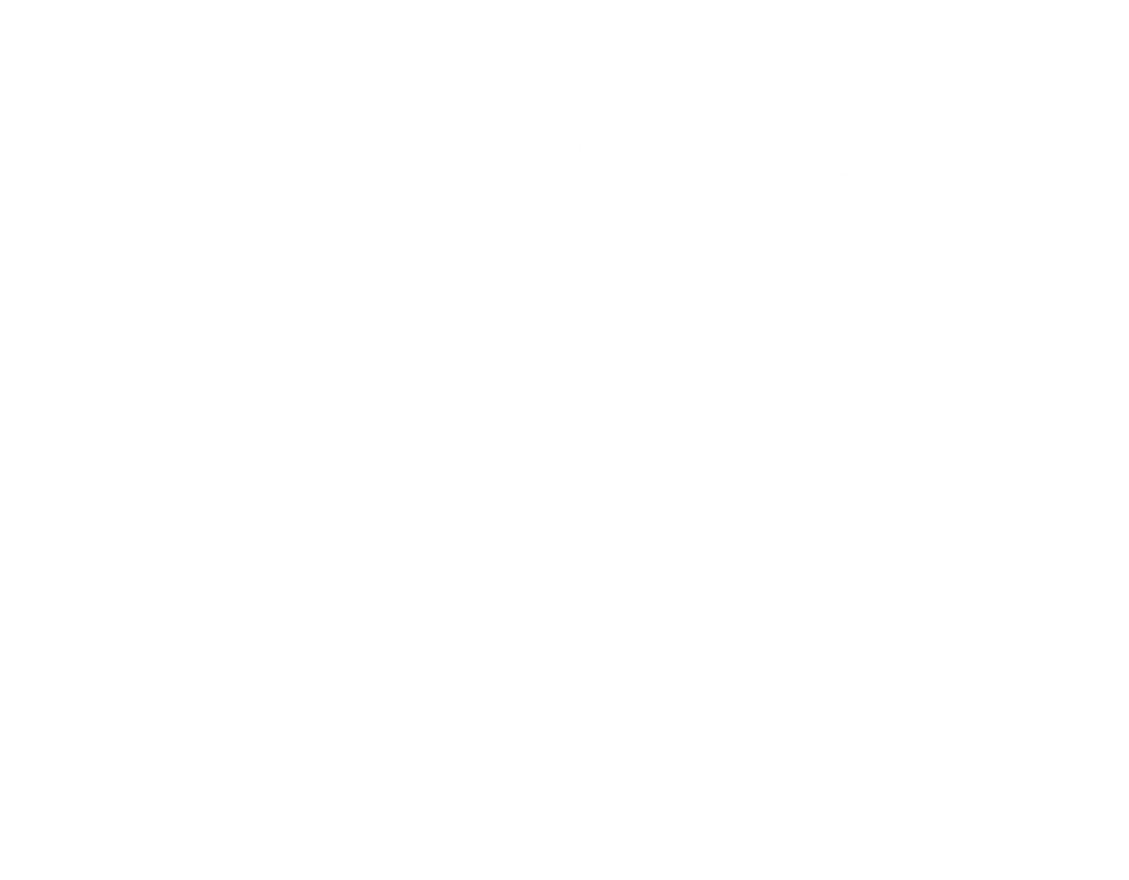 A white crown sits above a house silhouette with window panes, flanked by squeegees, with "WINDOW KING EXTERIOR CLEANERS LLC" written below
